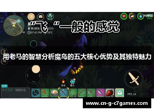 用老马的智慧分析魔鸟的五大核心优势及其独特魅力