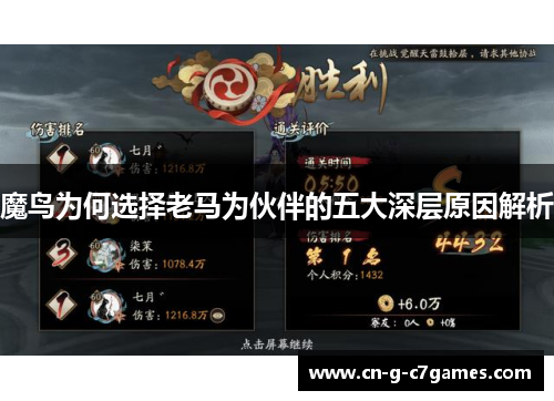 魔鸟为何选择老马为伙伴的五大深层原因解析