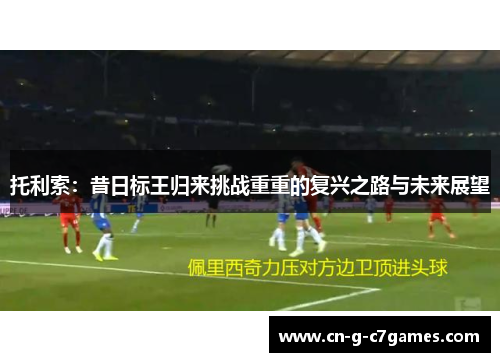托利索：昔日标王归来挑战重重的复兴之路与未来展望